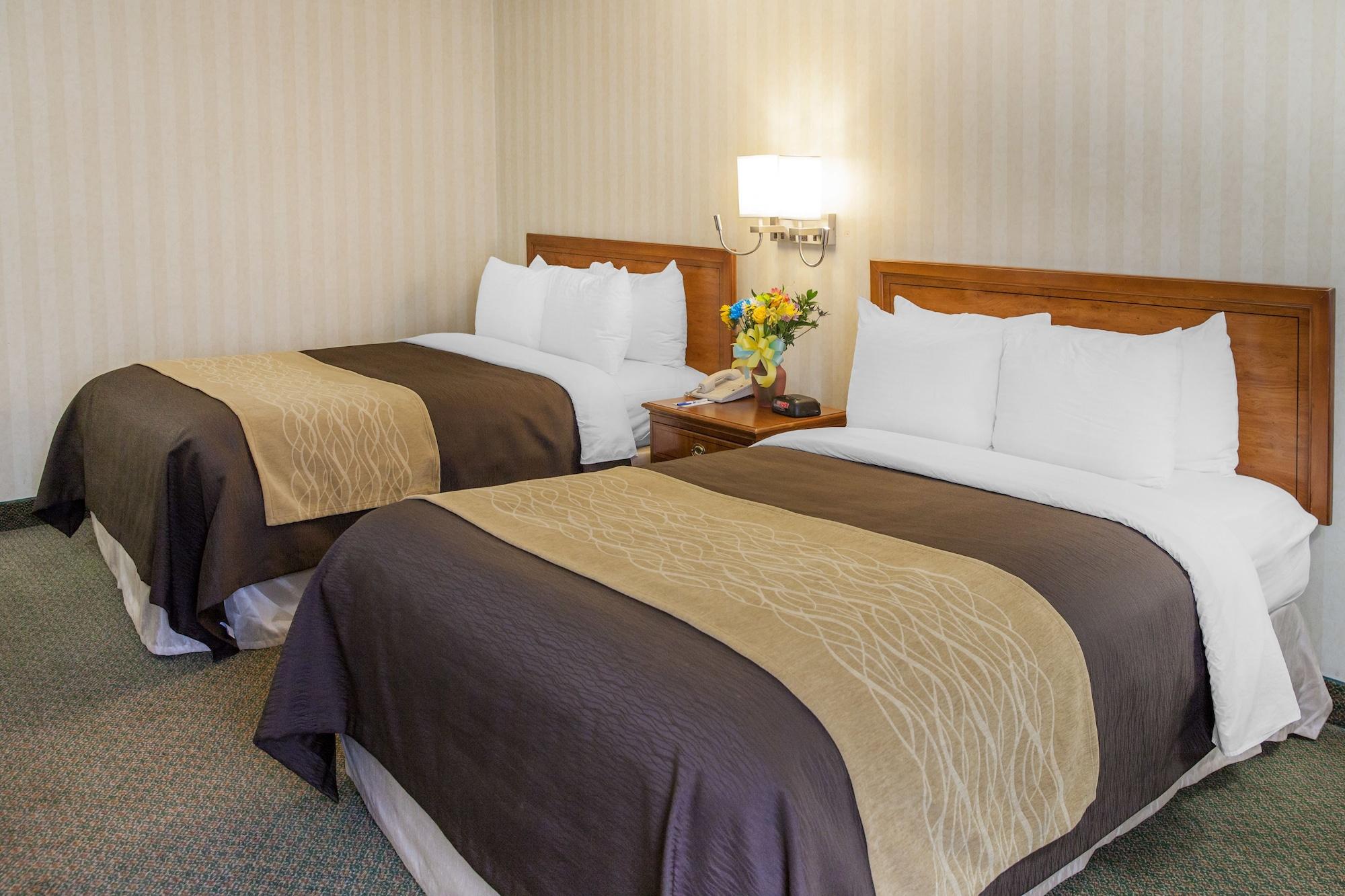 ארלינגטון Comfort Inn Pentagon City מראה חיצוני תמונה