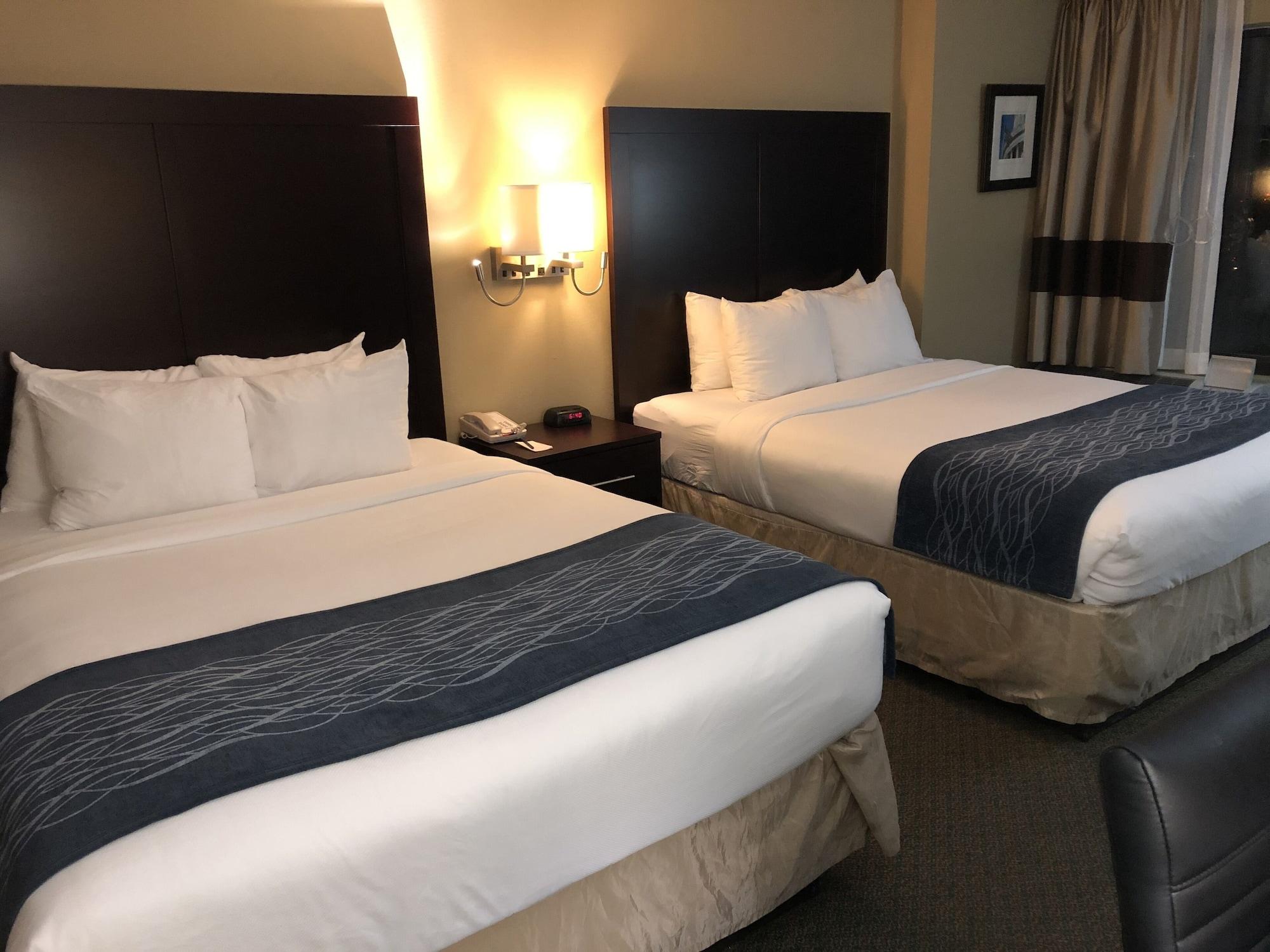 ארלינגטון Comfort Inn Pentagon City מראה חיצוני תמונה